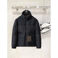 Louis Vuitton Down Jackets